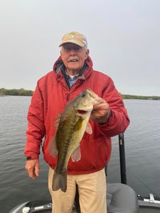 Navigating Tennessee River's currents for a bass 